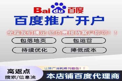 竞价广告策略案例分析